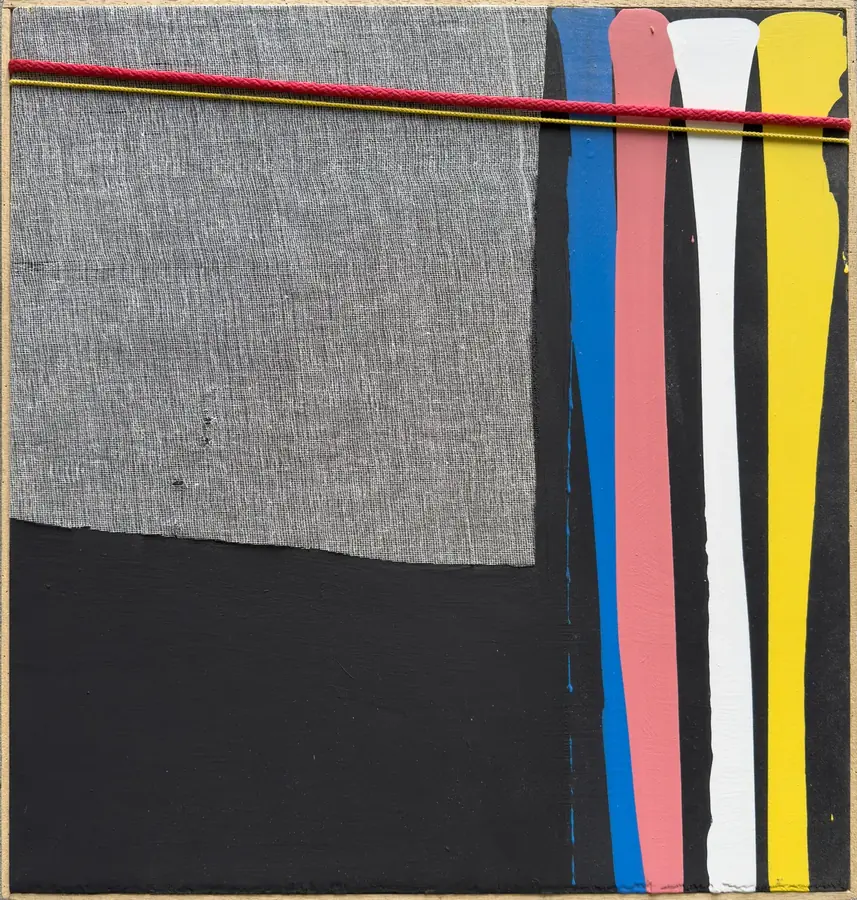 Cloth and acrylic composition on black ground by Andrea Cesari